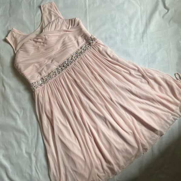 Baby Pink Soft Net Dress (M/L)